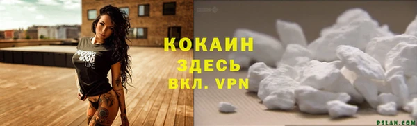 прущие грибы Навашино
