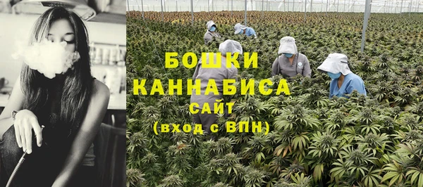 прущие грибы Навашино