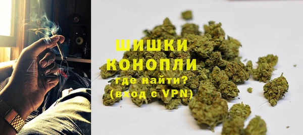прущие грибы Навашино