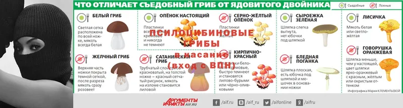 Галлюциногенные грибы мухоморы  Краснослободск 